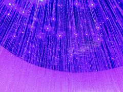 -赵小姐丨新中餐(曲江店)