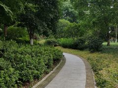 -杭州城北体育公园