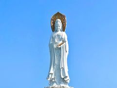 -沿江海南菜·文昌鸡祖师爷(大东海店)