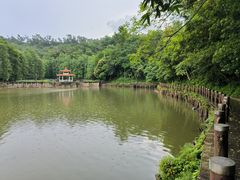 -深圳仙湖植物园