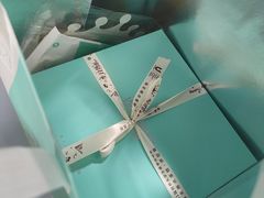 -维尔纳斯·生日蛋糕·动物奶油冰淇淋蛋糕(六里桥店)