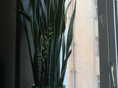 -春花民族美食(佳木斯总店)