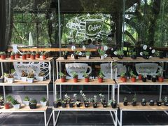 -马咖啡macup·意式轻餐·观景餐厅