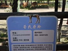 -青藏高原野生动物园