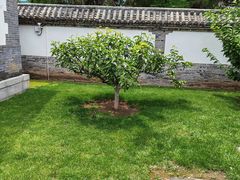 -金州副都统衙门博物馆