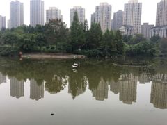 -龙头寺公园