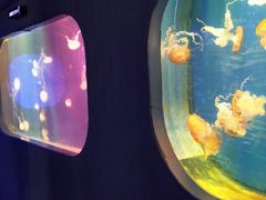 -杭州海底世界