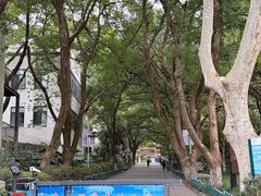 -杭州半山国家森林公园