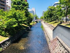 -札幌电视塔
