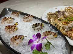 -富来美食(成发大厦店)