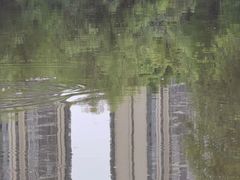 -新江湾城公园