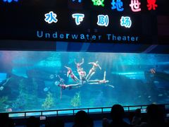 -泉城欧乐堡海洋极地世界