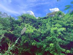 -七娘山