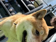 -银锐24h健身·Ai闪练(建设路店)