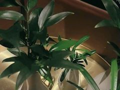 -潮舍(环球金融中心店)