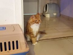 -平行世界·猫咖(首经贸店)