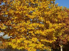 -北京园博大酒店