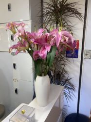 -HaLo hair studio