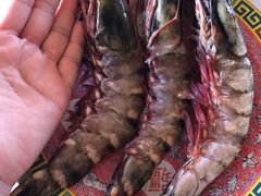 -灯笼馆海鲜餐厅