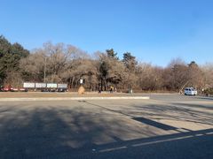 -长春市南湖公园