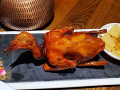 红烧鸽-大鸽饭(岗顶店)