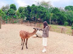 -泉州海丝野生动物世界