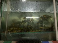 -四道口水产市场