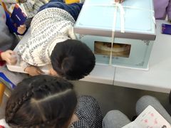 -斯坦星球AI编程·机器人科创·科学实验·信奥·思维·STEM·乐高·竞赛考级(长宁虹桥大融城荟聚中心)