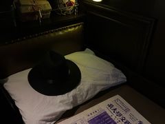 -武汉知音号