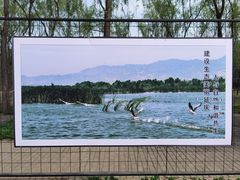 -野鸭湖国家湿地公园