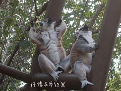 -北京野生动物园