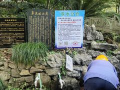 -杭州半山国家森林公园