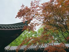-十八棵（老龙井）御茶园(老龙井店)