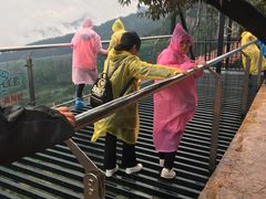 游乐设施-梦幻奥陶纪景区