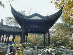 -上海佘山国家森林公园天马山园