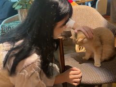 -咖法森林·咖啡  酒吧(天河店)