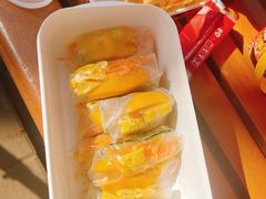 -合肥野生动物园
