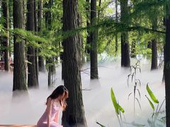 -东湖落雁景区