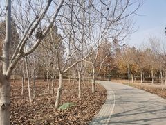 -东郊湿地公园