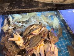 -福禧荟·海鲜自助
