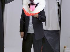 -海马体照相馆|大师(北京华贸中心店)