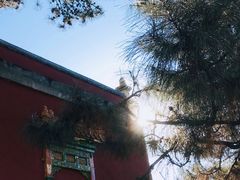 -普陀宗乘之庙(小布达拉宫)