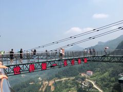 -梦幻奥陶纪景区