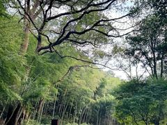-黄公望隐居地
