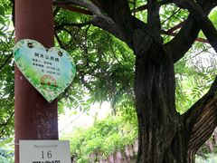 -嘉定紫藤园