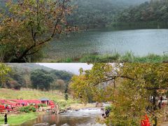 -广州市石门国家森林公园