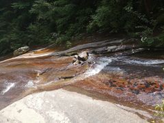 -青峰峡国家森林公园