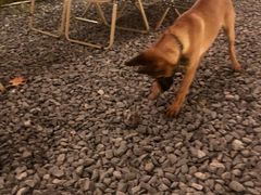 -DGE季风钓虾营地·团建·聚会