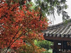 -龙头寺公园