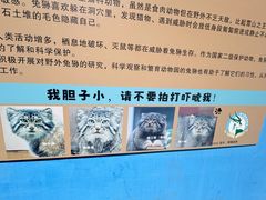 -青藏高原野生动物园